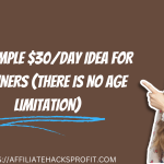 Top Simple $30/Day Idea for Beginners (There Is NO Age Limitation)